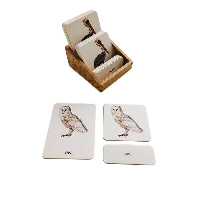Montessori Shelf Toy - Materiales de idiomas Montessori, tarjetas de